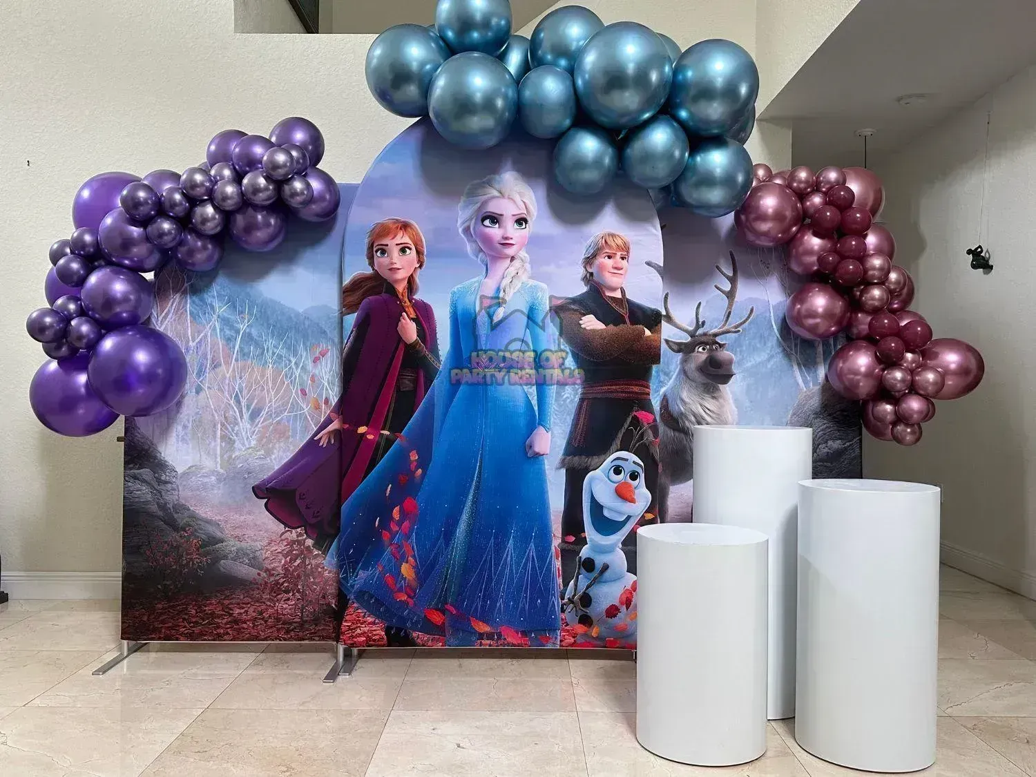 Frozen Team Birthday Decoration 3